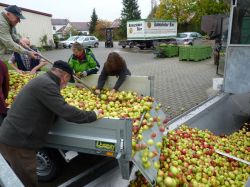 Obsternte Und Maischen 2012 29